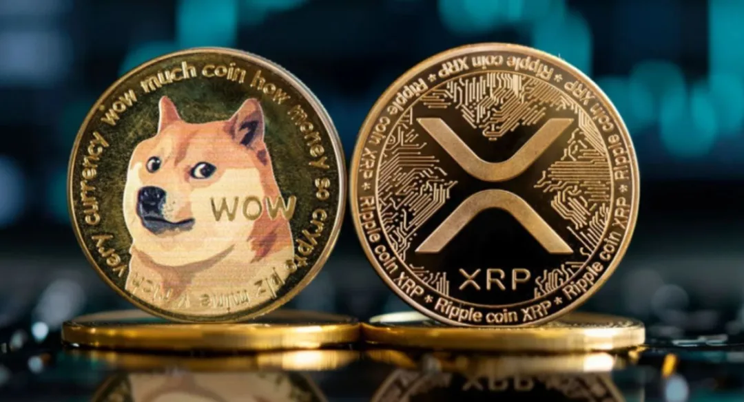 XRP vs Dogecoin: Their Key Differences 