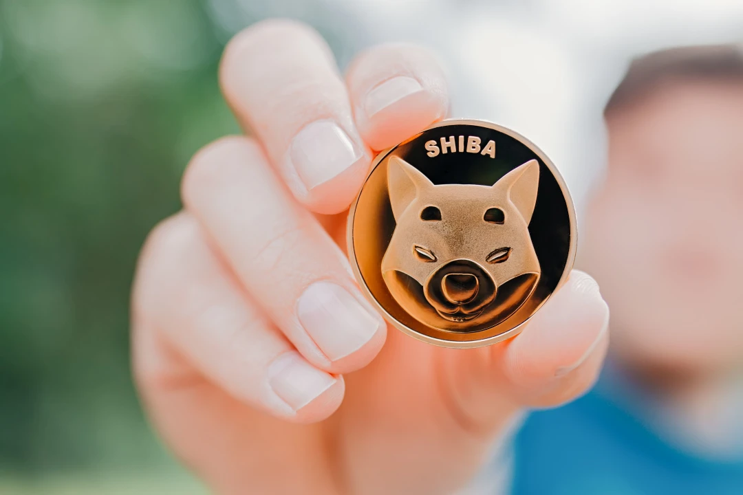 Coinbase Whales Accumulate 139 Billion SHIB as Traders Dismiss Token
