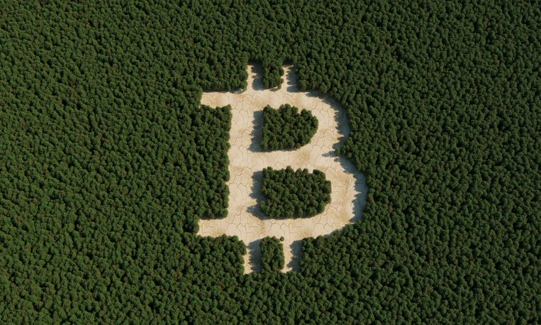 Deforestation in the shape of Bitcoin