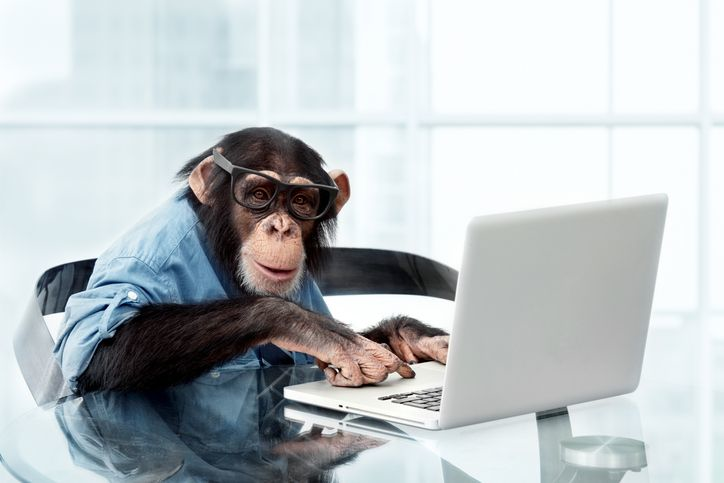A stock photo of a monkey wearing glasses and shirt in front of the laptop.