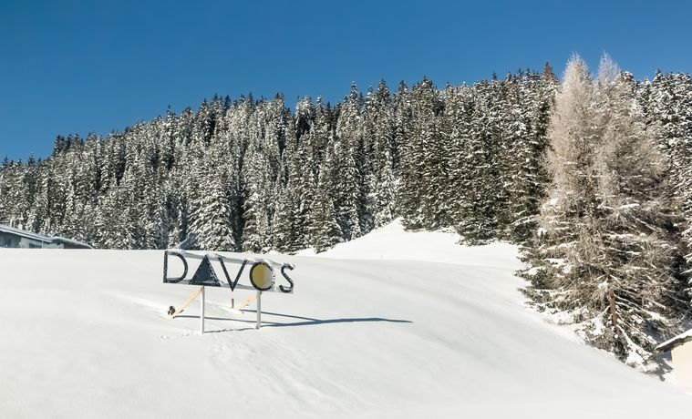 Snow-covered fir trees in Davos