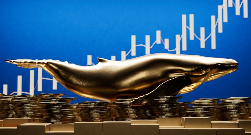 A stock image featuring a golden whale figure on piles of coins and a candle chart in the background. 