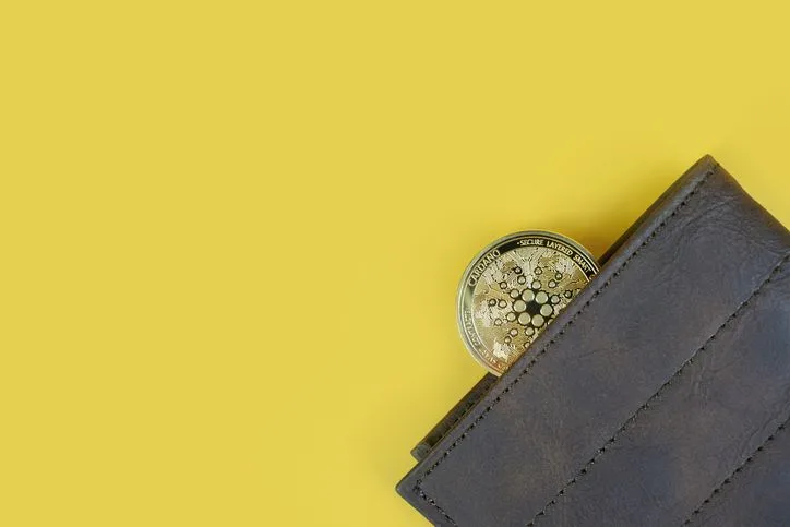 Cardano coin in a wallet on yellow background