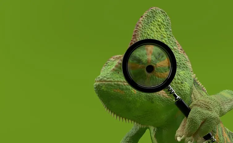 A stock photo of a chameleon looking through the magnifying glass. 