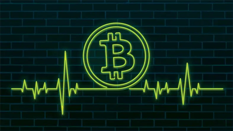A stock photo featuring a neon Bitcoin icon and a heartbeat line on a dark brick wall
