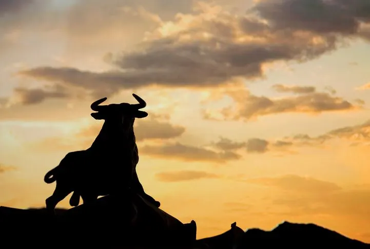 A stock photo featuring the silhouette of a bull on background evening sky