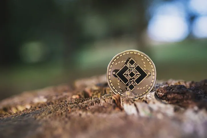 Gold Binance crypto coin on a tree outdoor