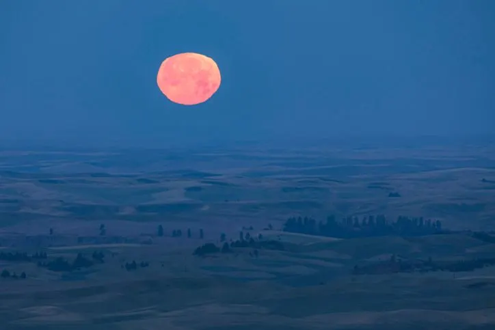 Deformed moon over deserted land