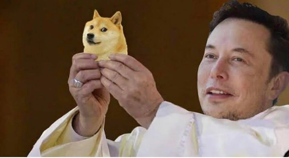 Elon Musk Dogecoin meme