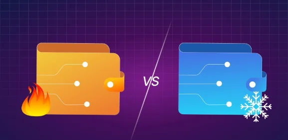 hot wallet vs cold wallet