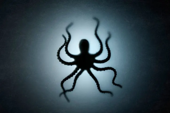 A silhouette of an octopus, stock image. 