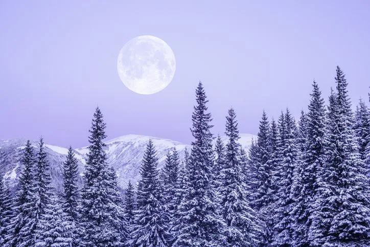 Full moon rising over a winter landscape