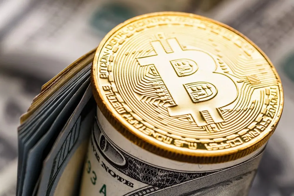 Bitcoin Treasuries Surpass 4M Coins as U.S. Bank CEOs Brace for High-Stakes Crypto Talks. Source: Shutterstock