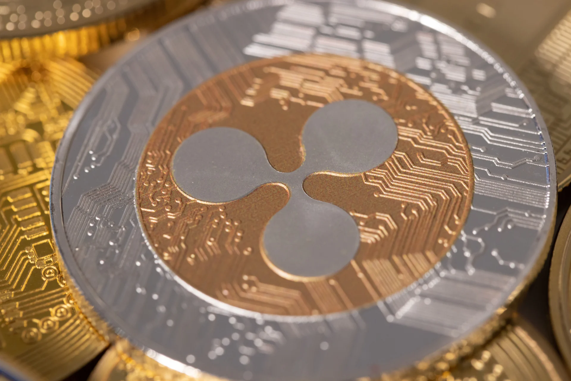 XRP Court Case Update Today: Latest Ripple vs SEC News. Source: Shutterstock