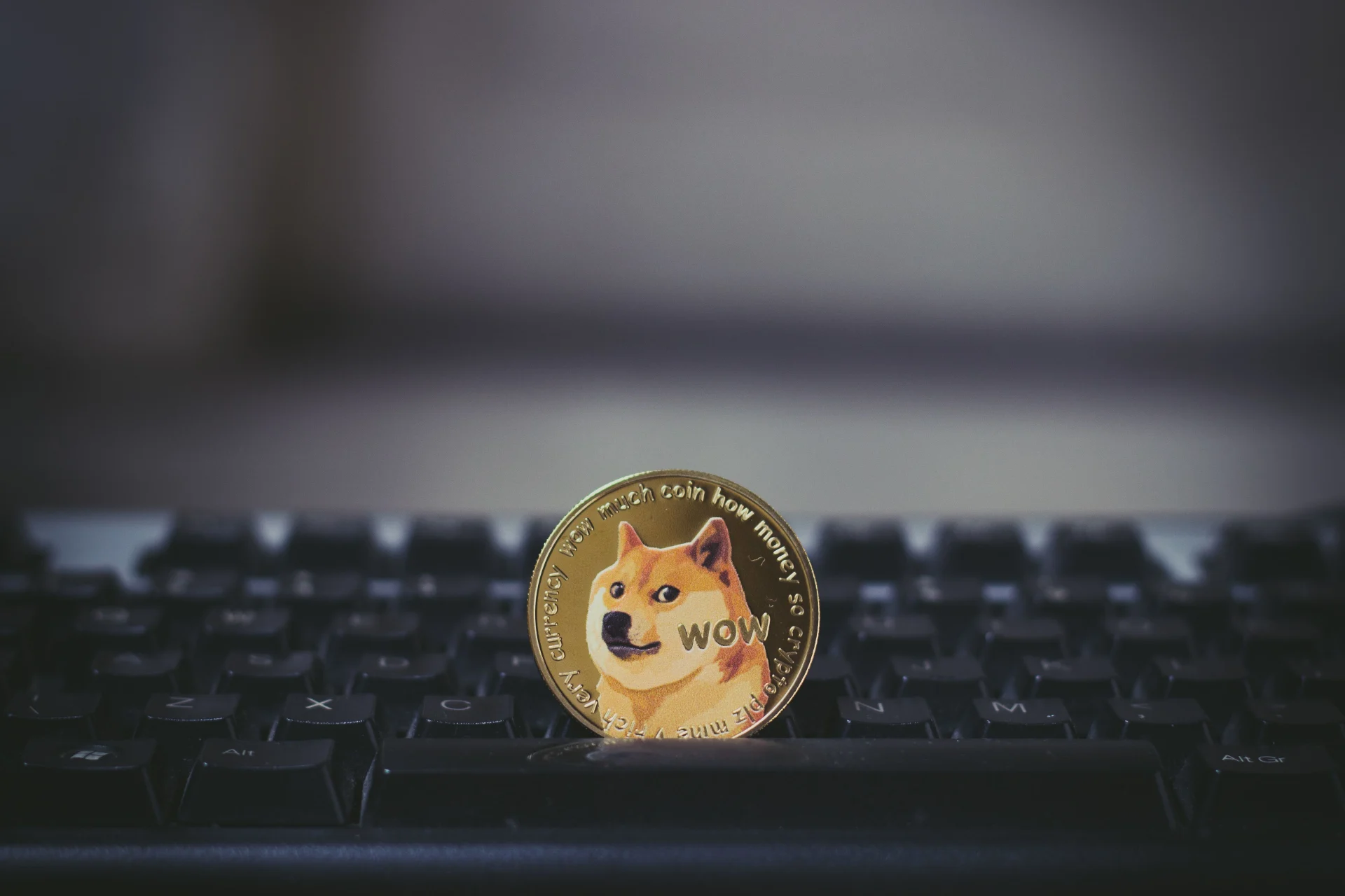 DOGE Price Plunges While New ETF Struggles to Attract Investors