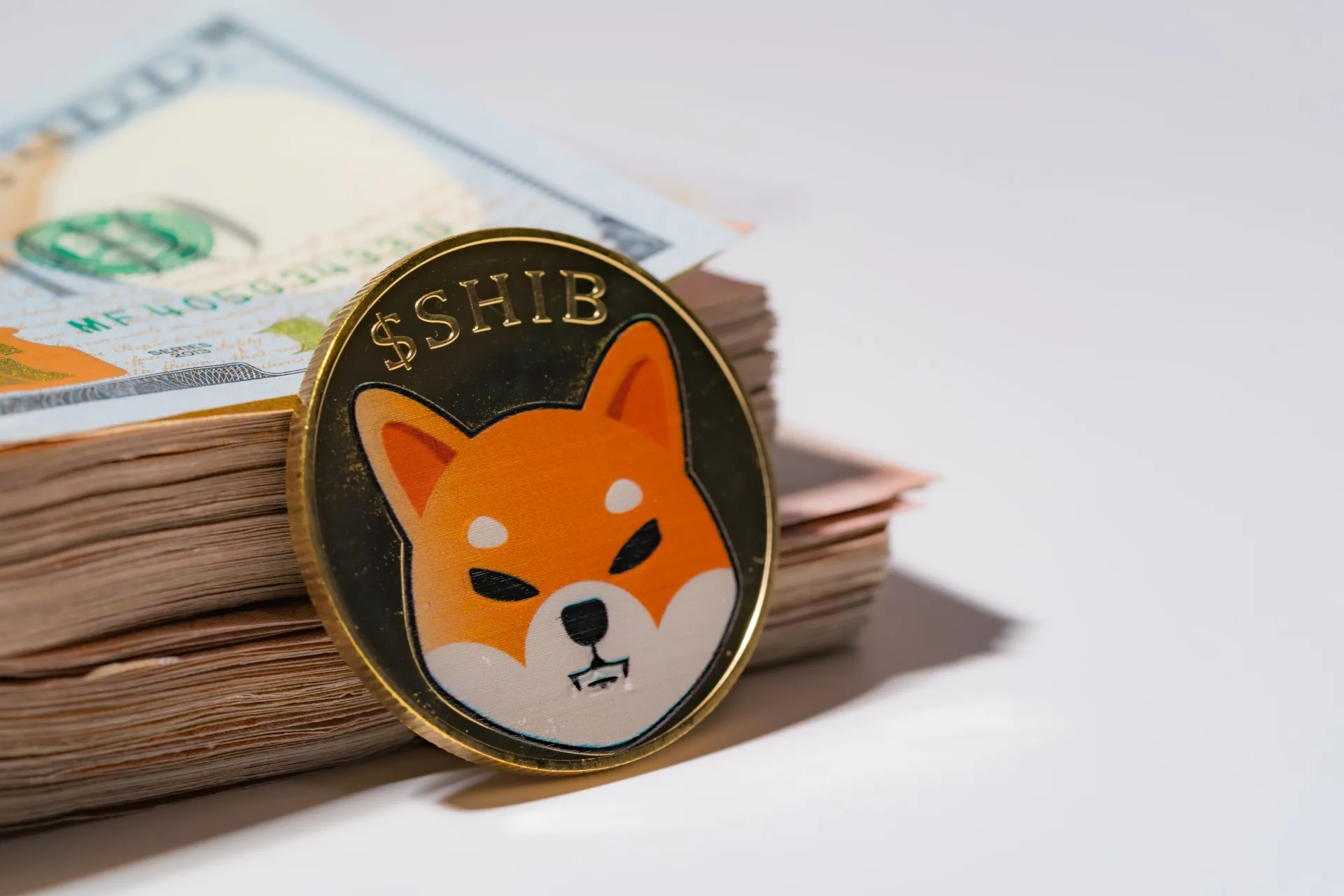 Major Coinbase Investor Accumulates $2.4 Million in Shiba Inu Tokens. Image Source: Shutterstock