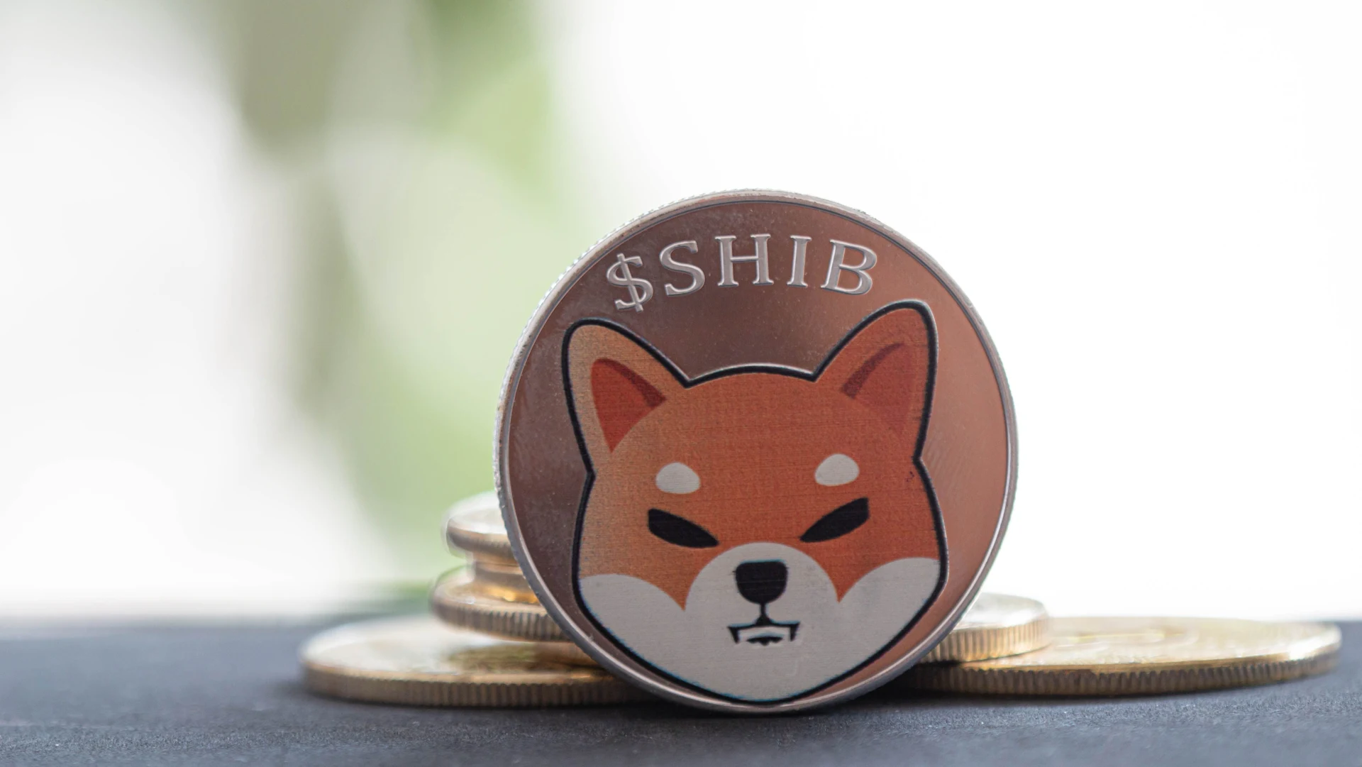 Expert Outlines Key Requirements for SHIB ETF U.S. Launch. Image: Shutterstock