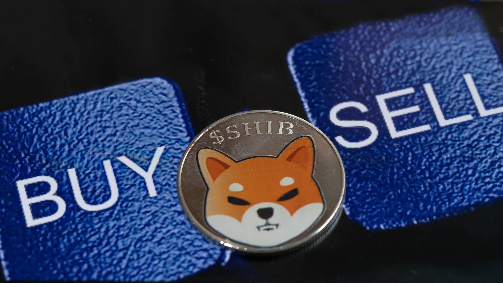 Shiba Inu Consolidates After 9% Drop: Can Buyers Defend $0.000011. Image: Shutterstock