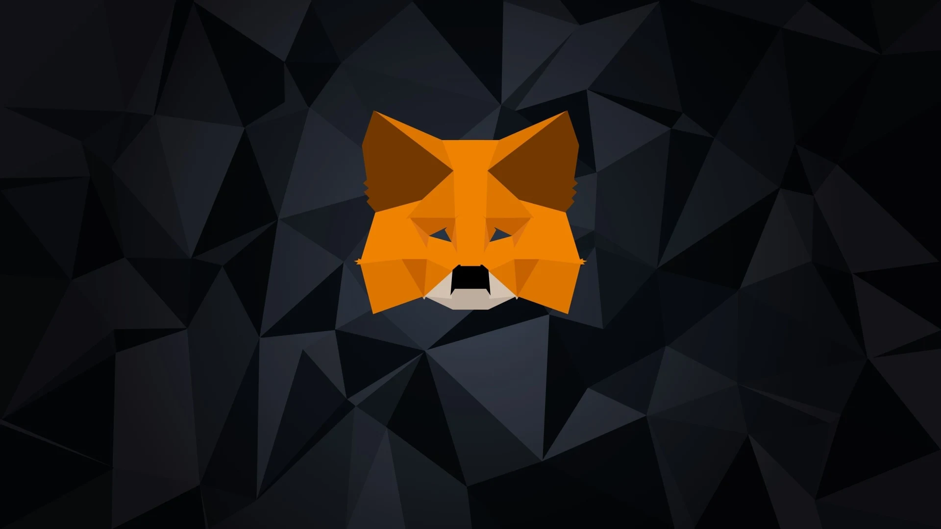 MetaMask Bug Causes Excessive SSD Wear, Patch Promised Soon. Source: Shutterstock