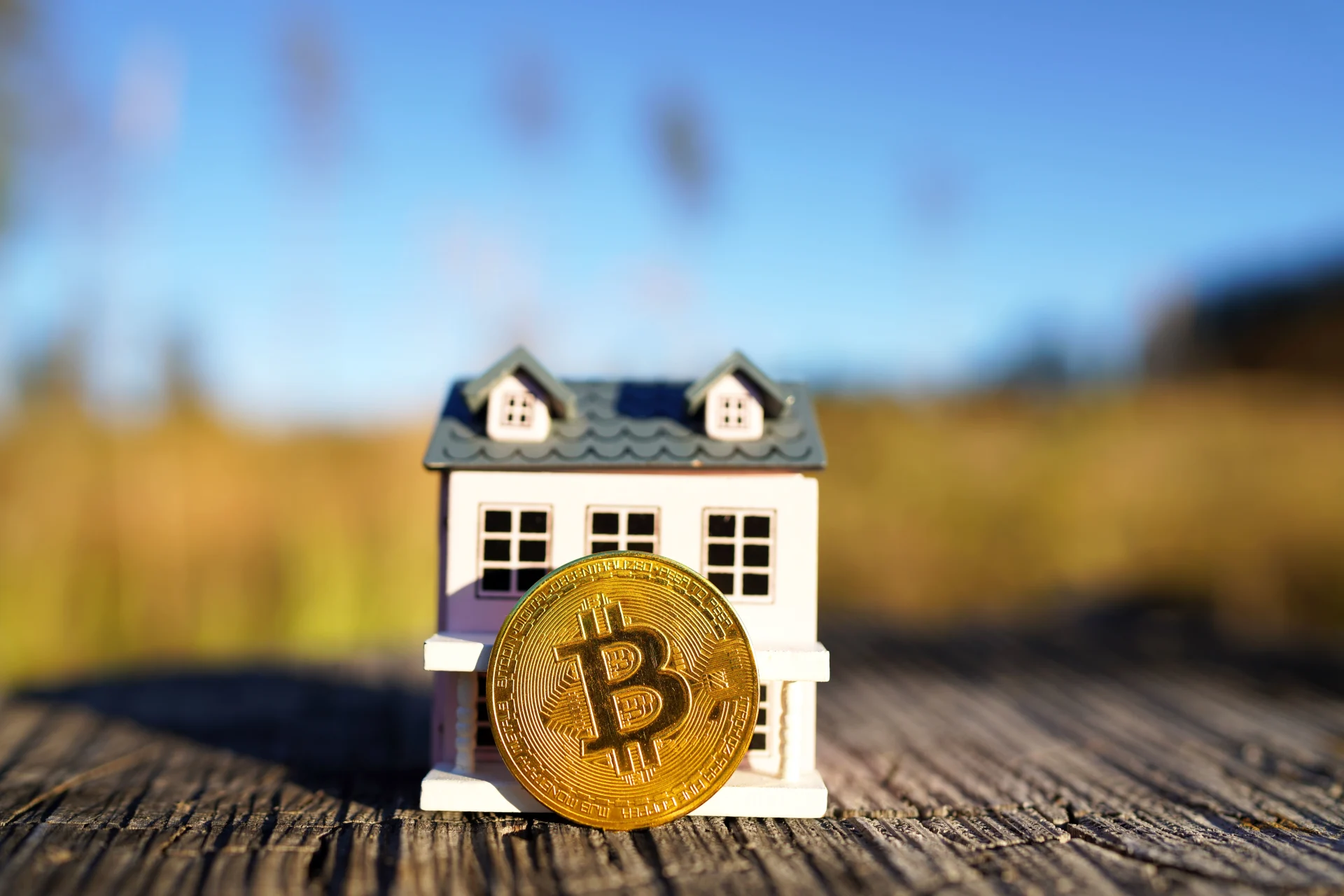 Who Owns the Most Bitcoin? Source: Shutterstock