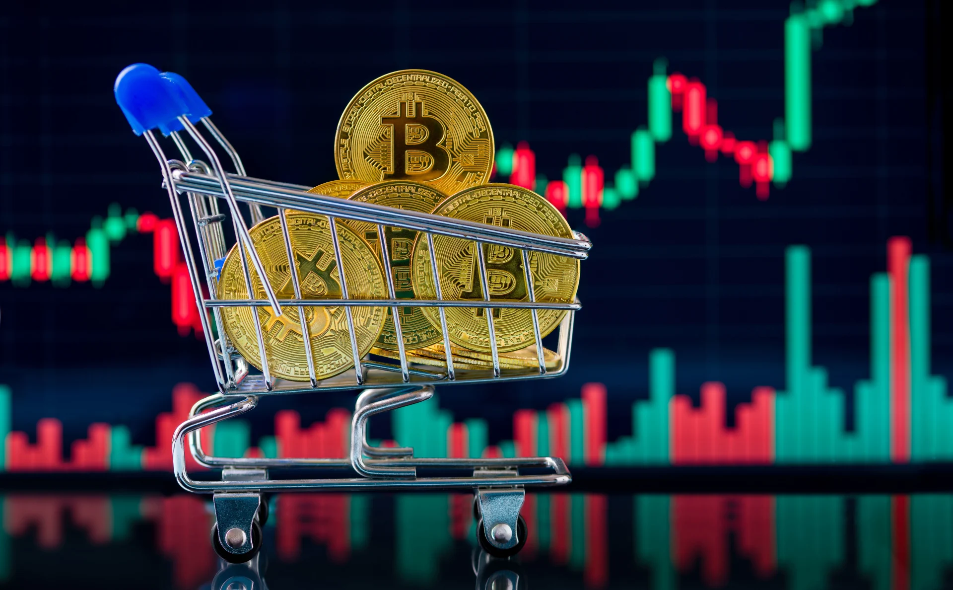 Bitcoin treasuries