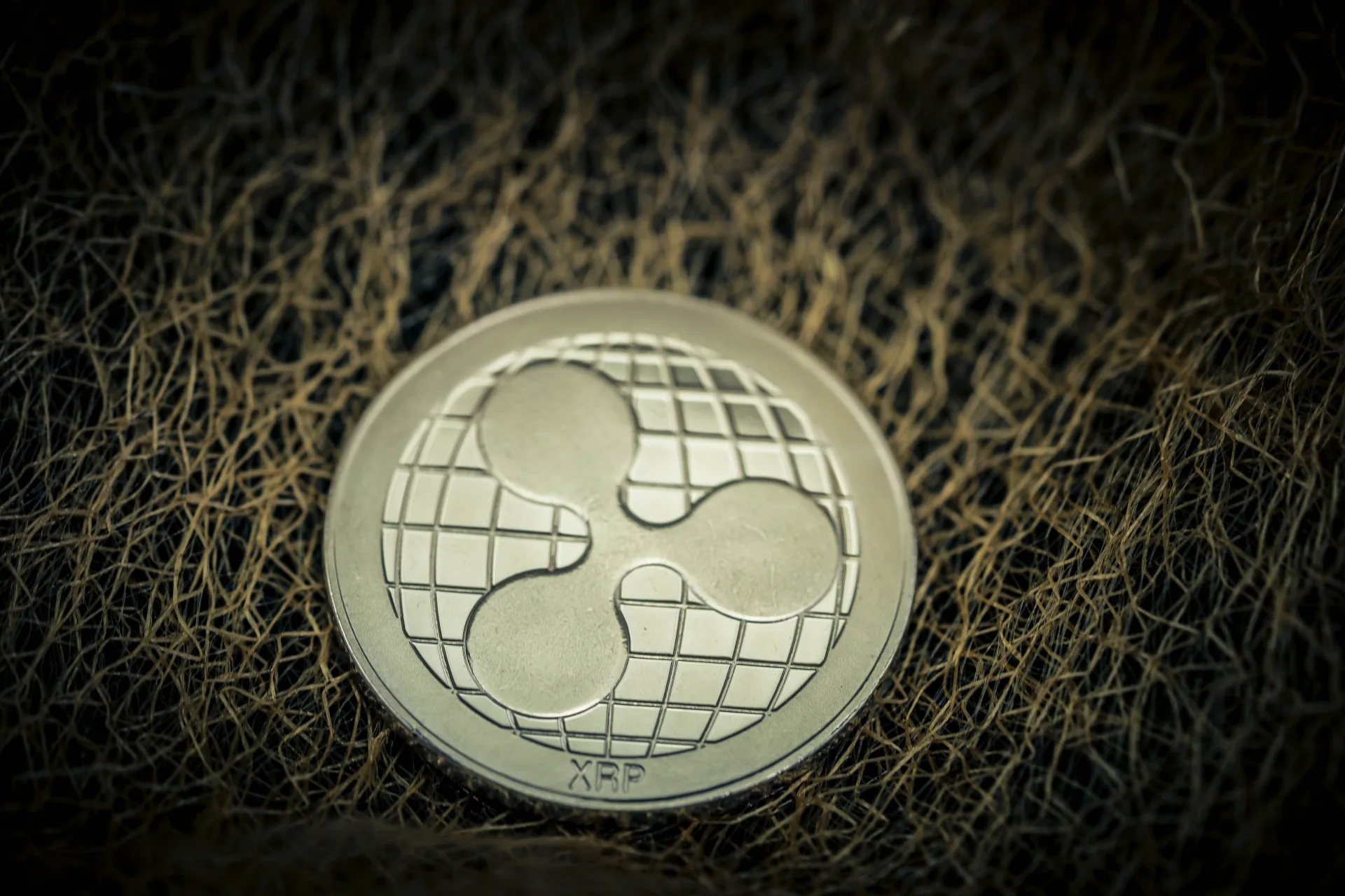 XRP ETFs: A New Era for Ripple and Digital Assets. Source: Shutterstock