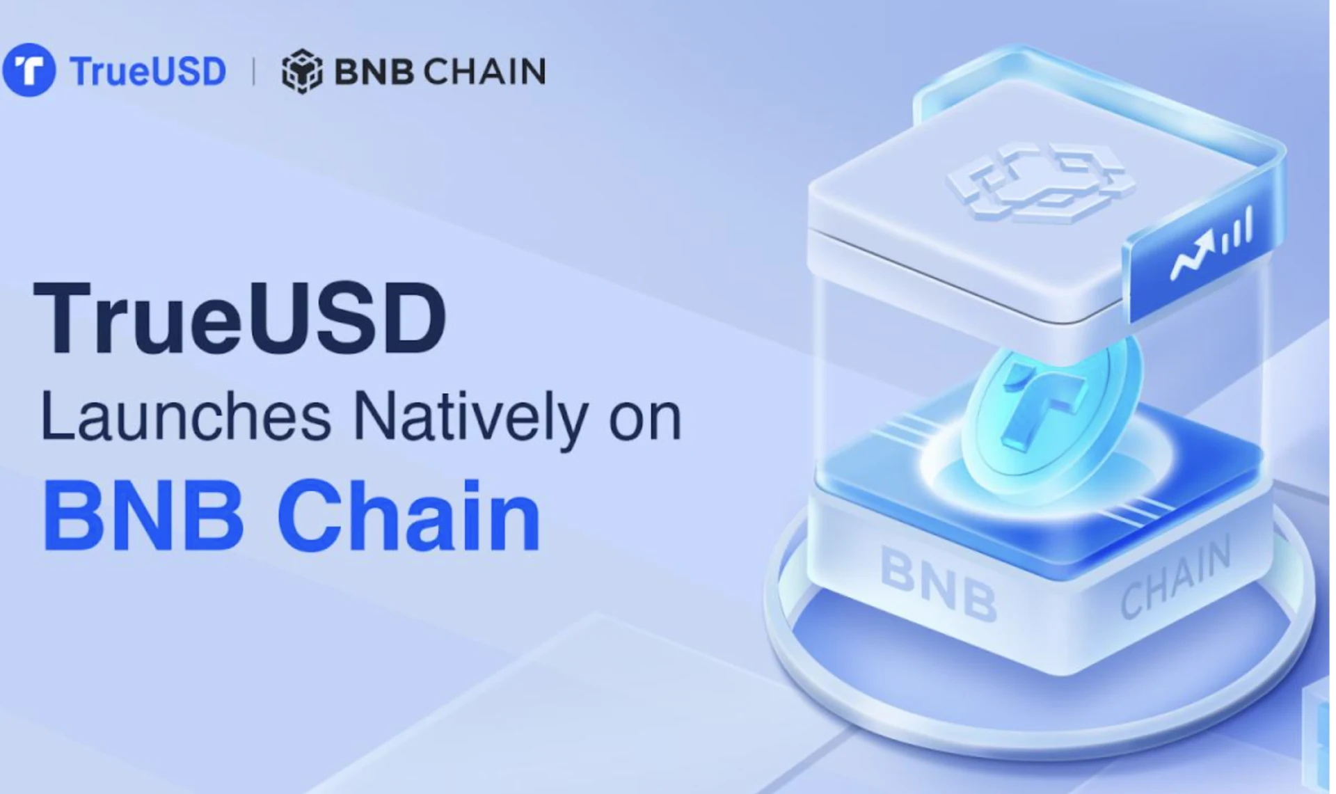 TrueUSD BNB Chain