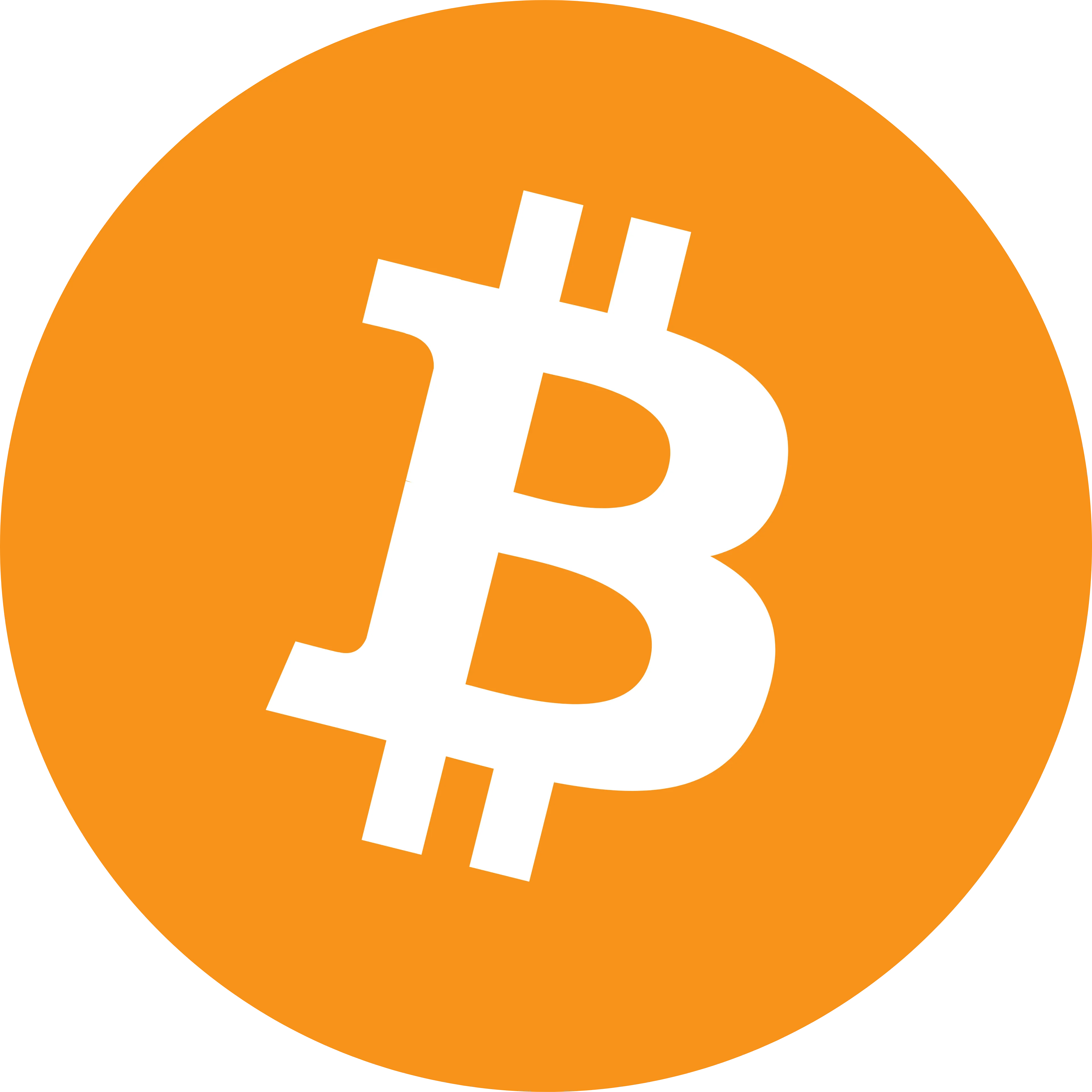 Bitcoin logo in svg format