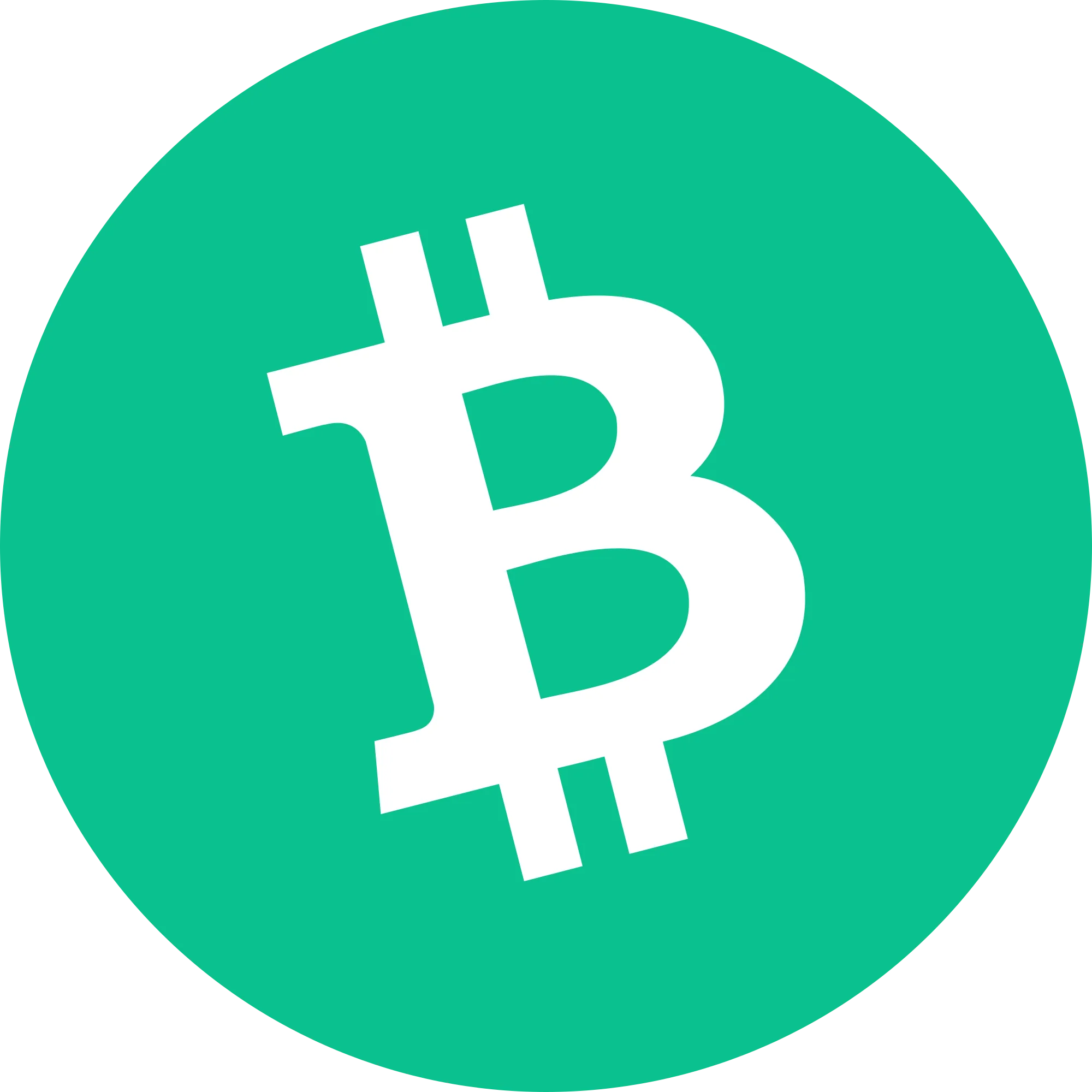 Bitcoin Cash logo in png format