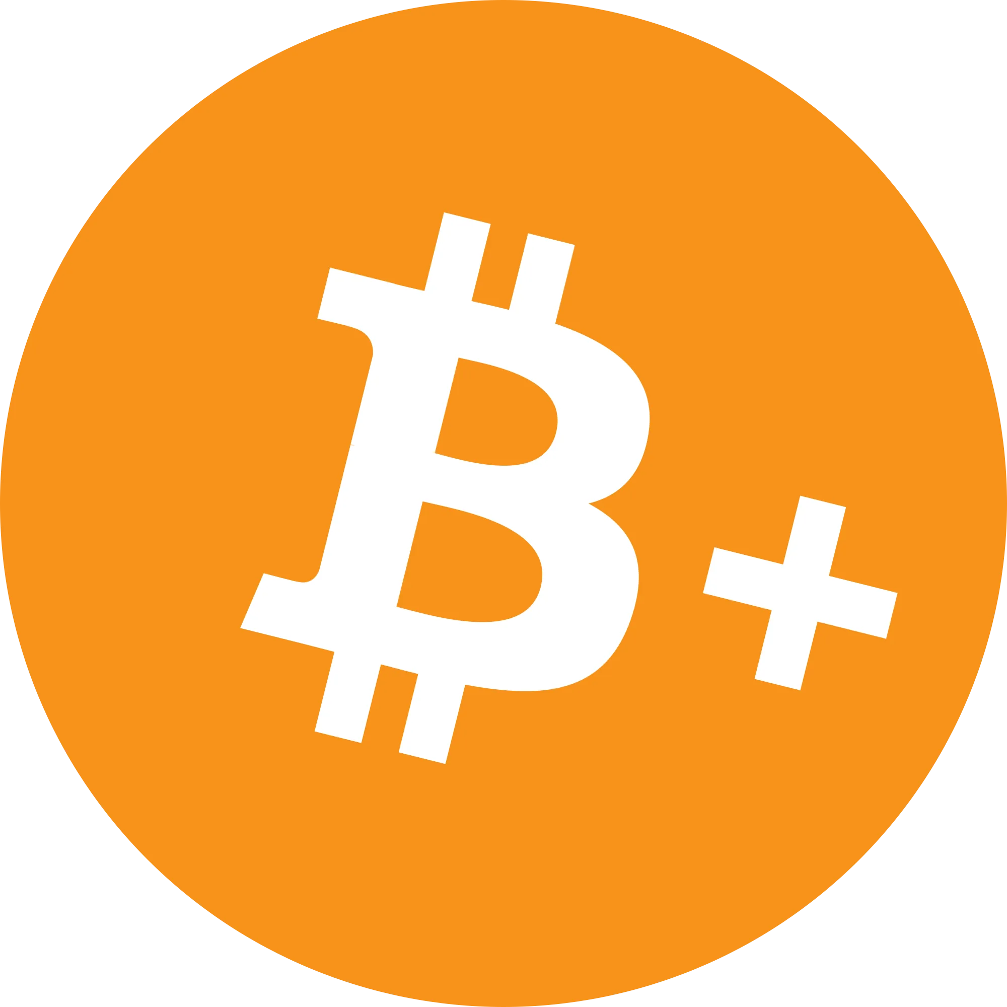 Bitcoin Plus logo in png format