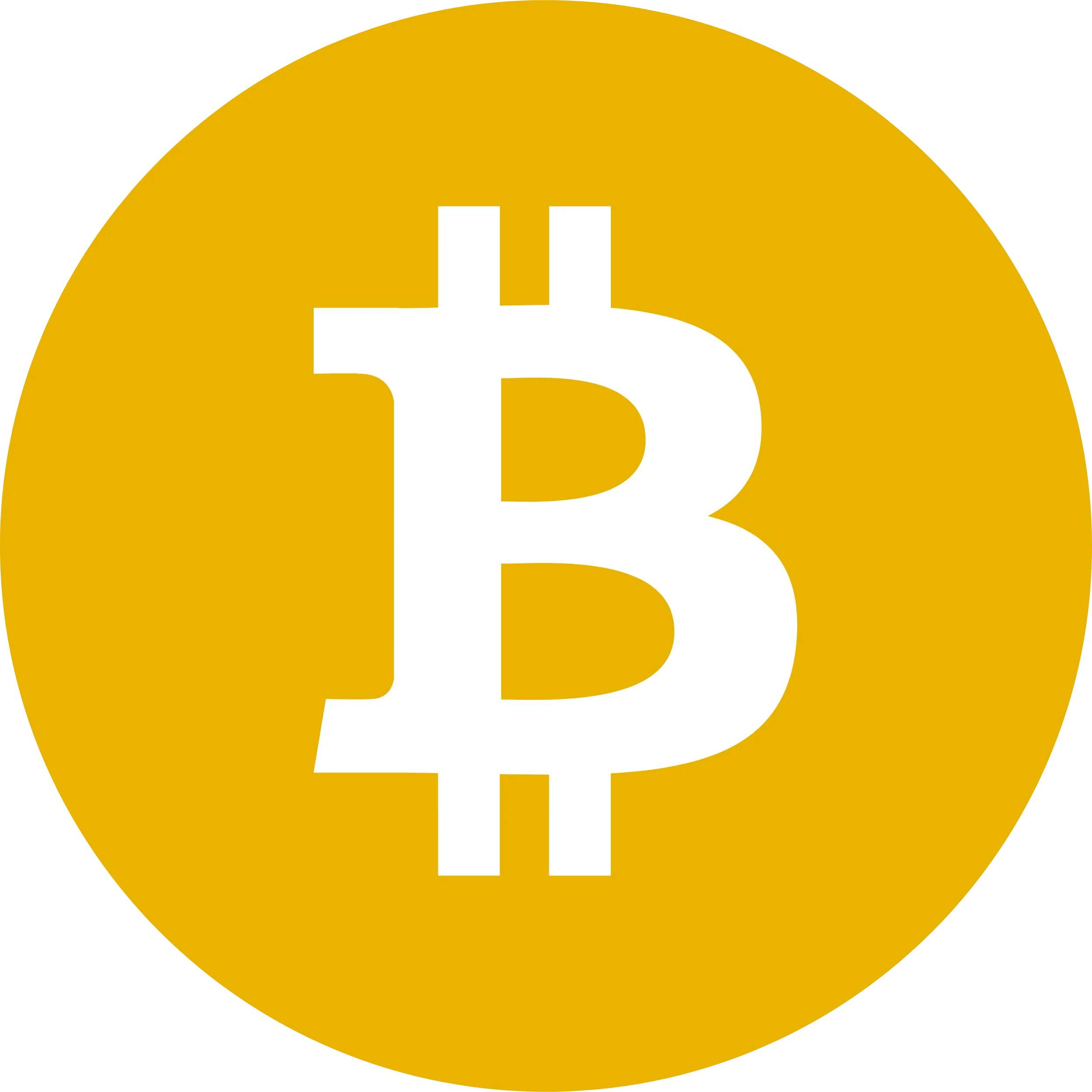Bitcoin SV logo in svg format
