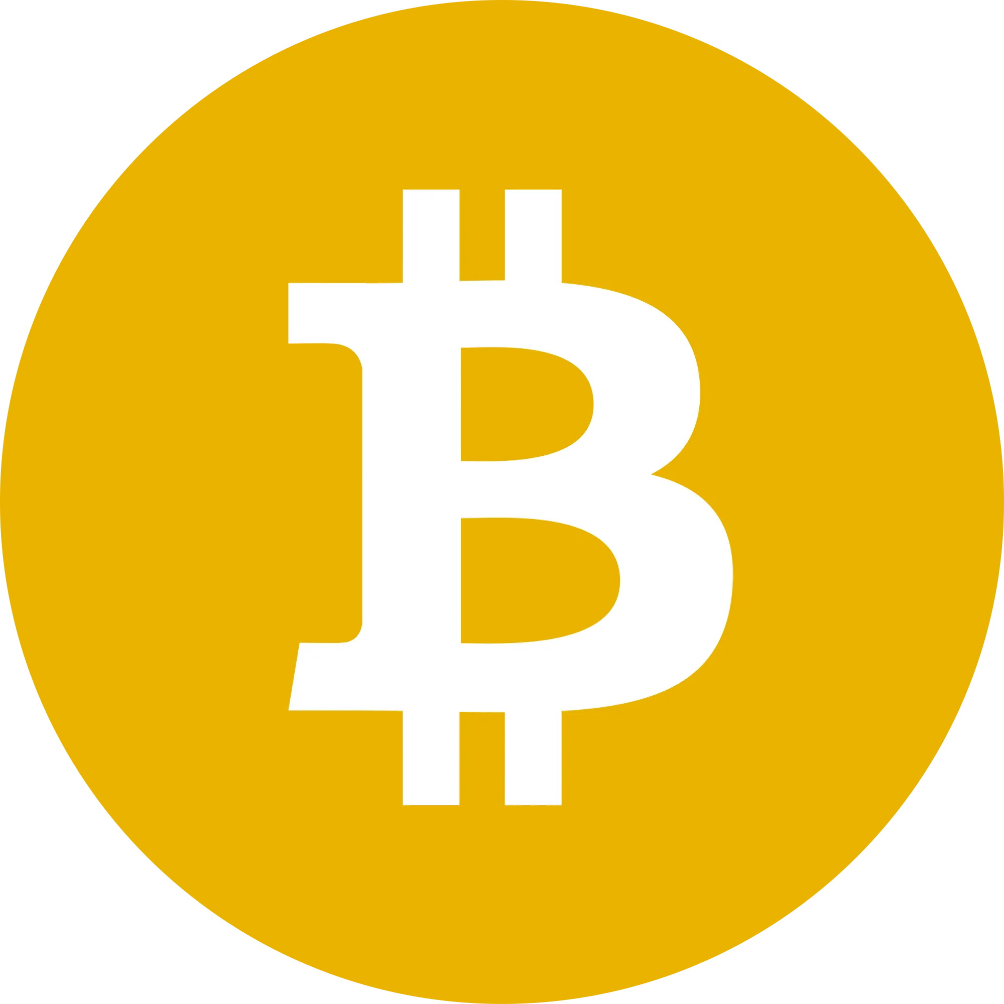 Bitcoin SV logo in png format