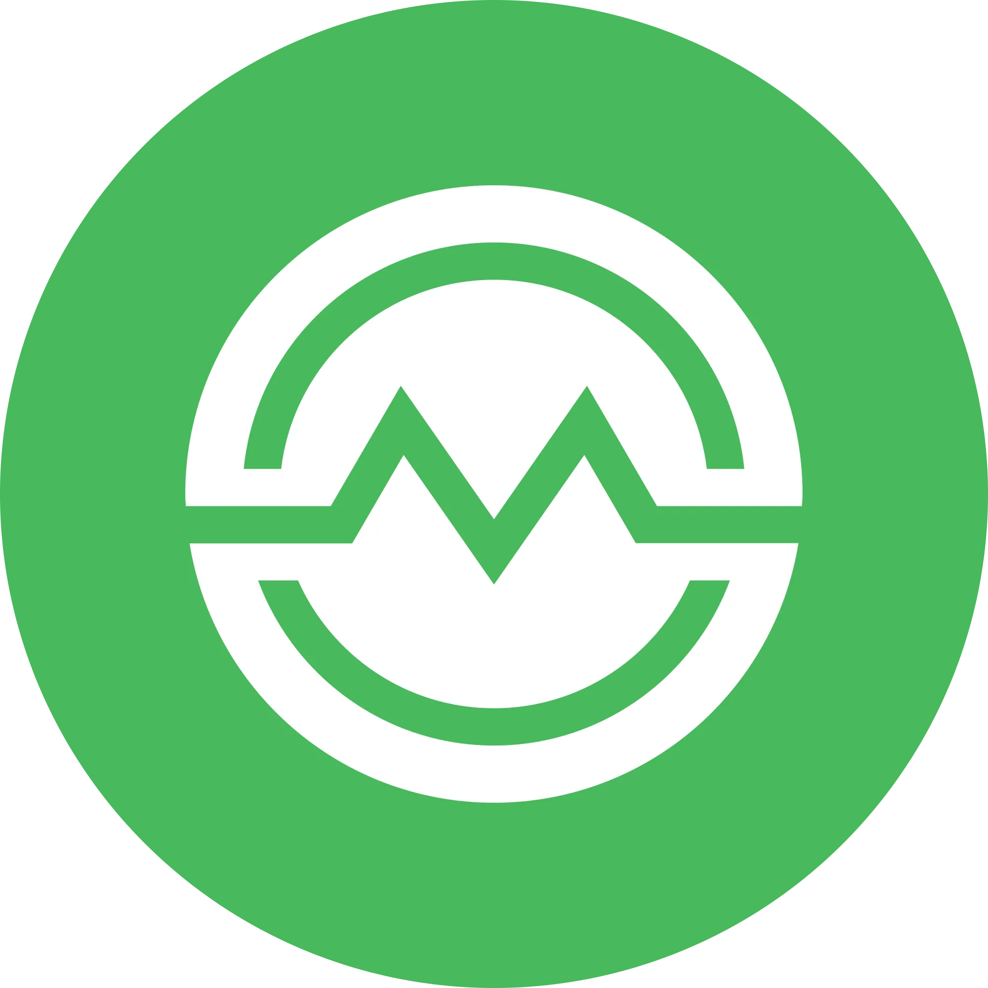 Masari (MSR) logo