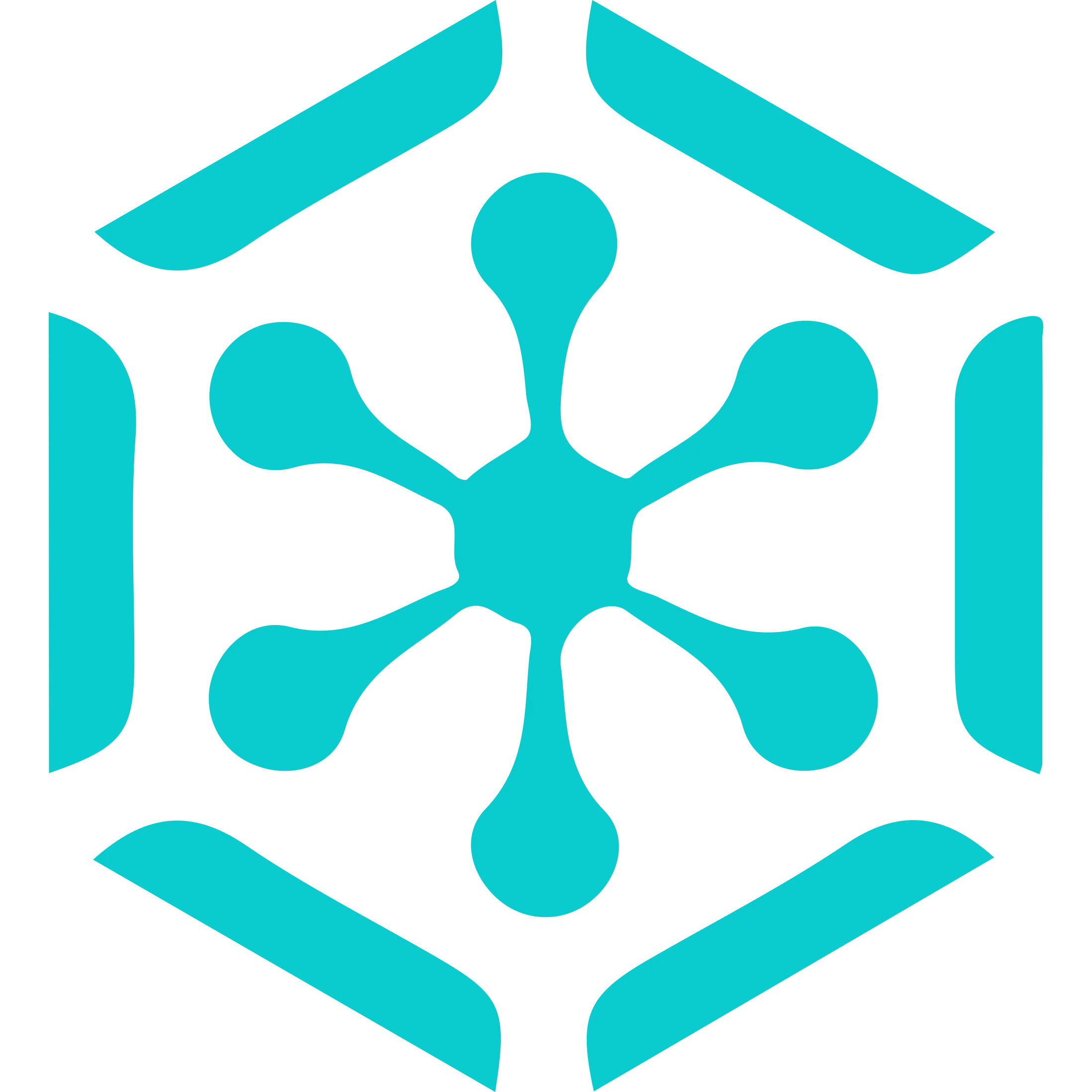 Ruff logo in png format