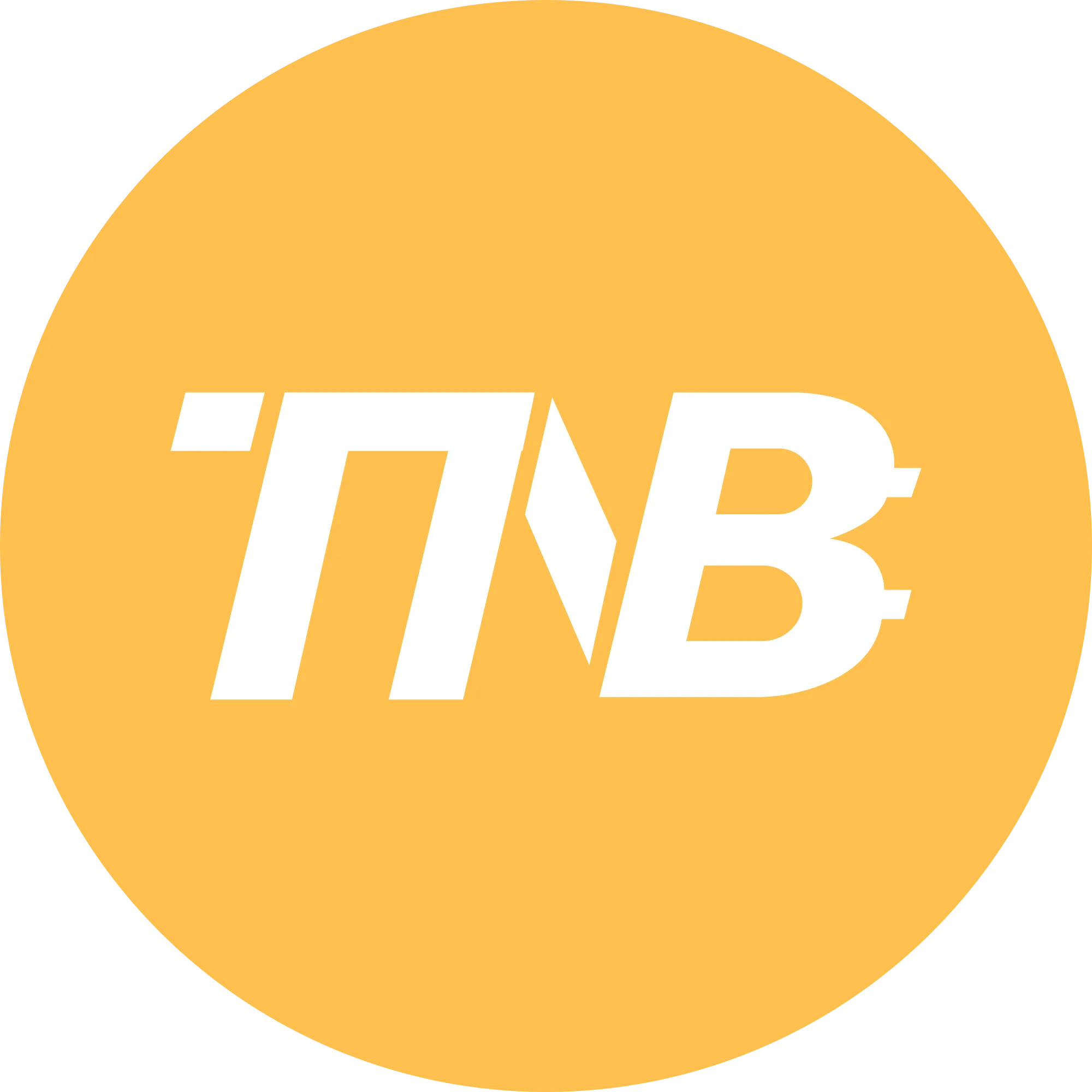 Time New Bank logo in png format