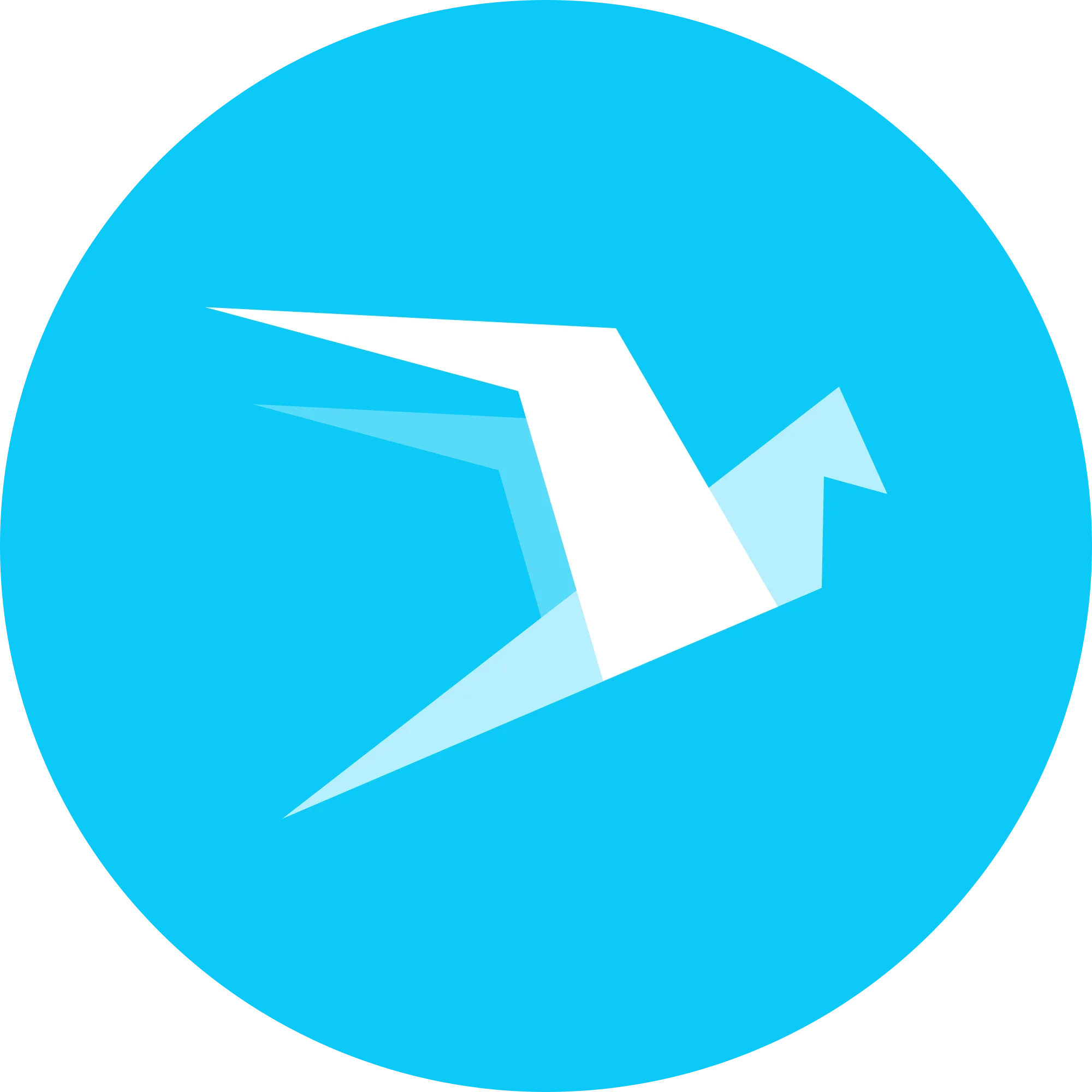 Wings logo in png format