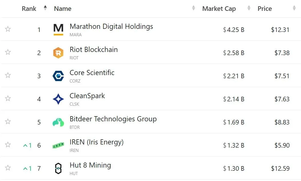 largest Bitcoin miners