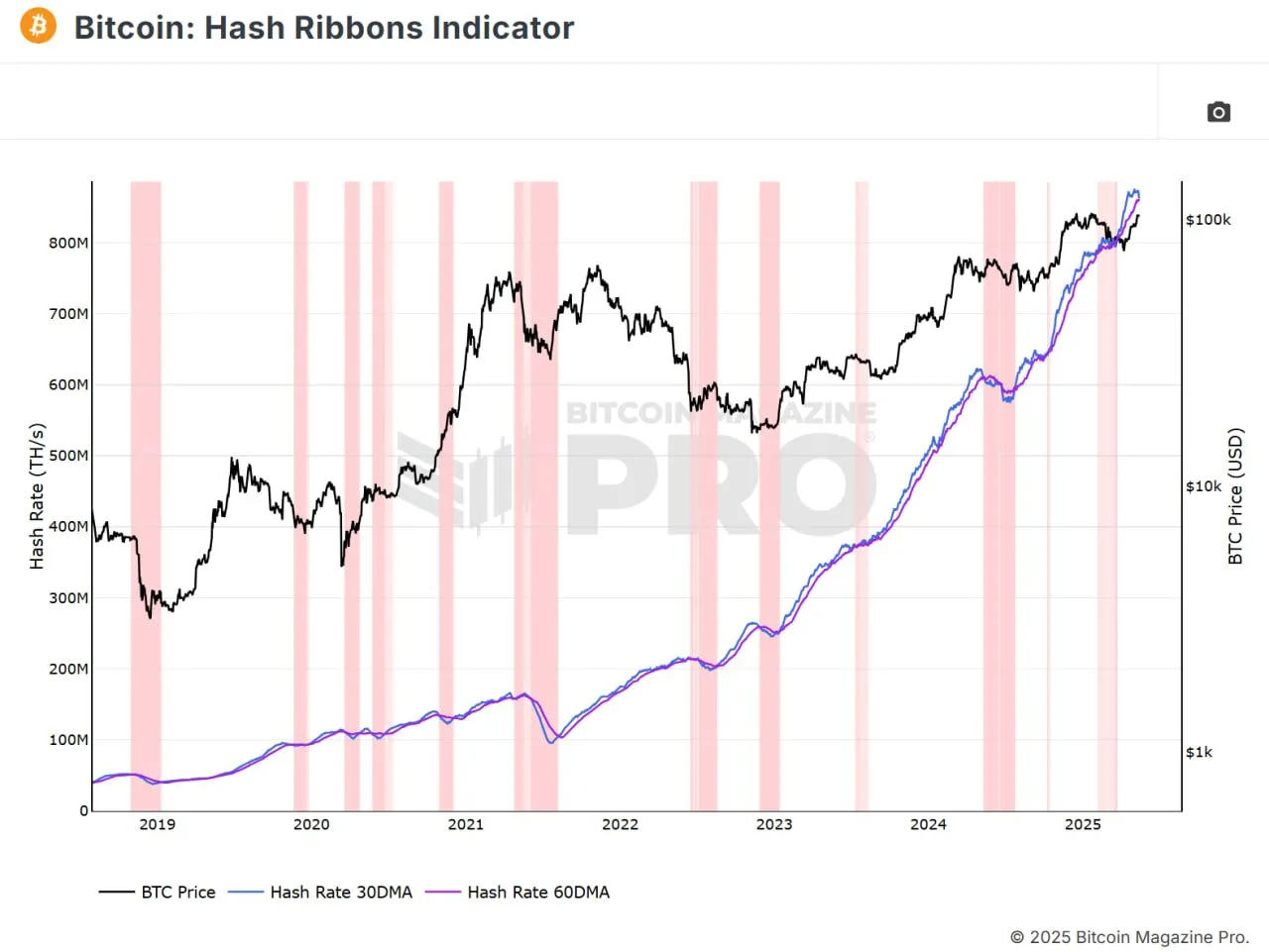 Complexity Ribbon dynamics. Data: Bitcoin Magazine Pro.