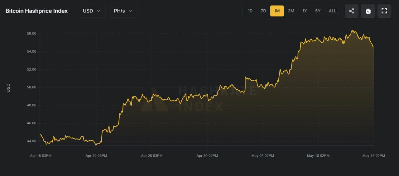 Bitcoin hashrate dynamics. Data: Hashrate Index as of May 15.