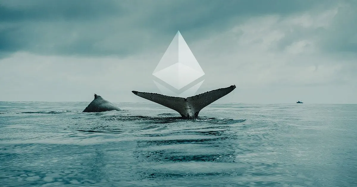 Ethereum whale