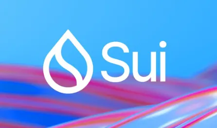 Sui network