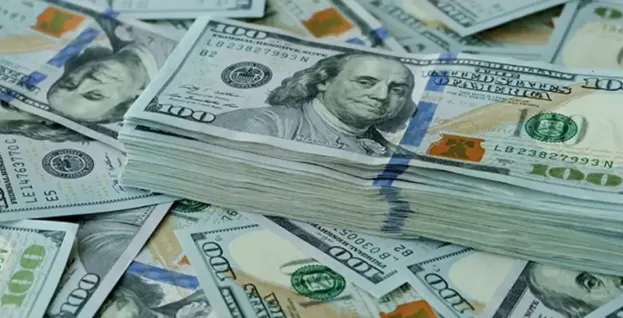 a bunch of dollar bills
