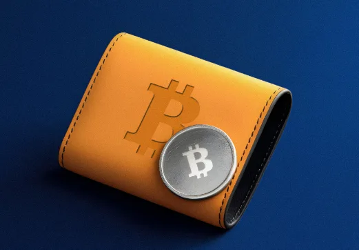 Bitcoin wallet