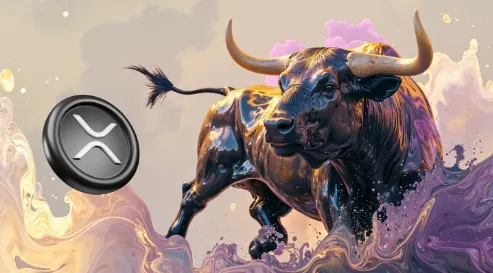 XRP bull
