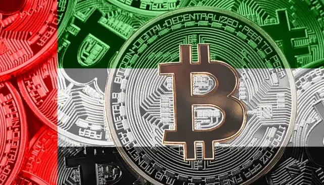 UAE crypto investors
