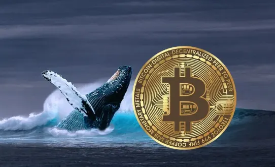Bitcoin whale