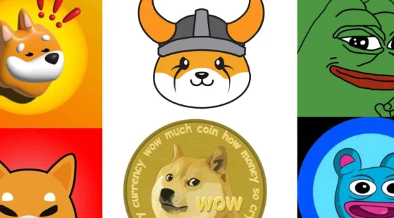 Meme coins