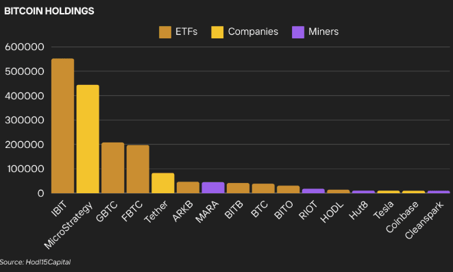 Bitcoin holders