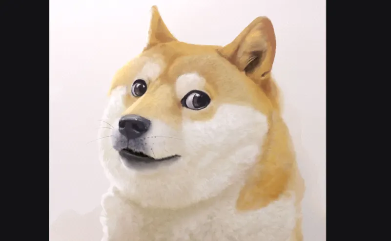 DOGE meme
