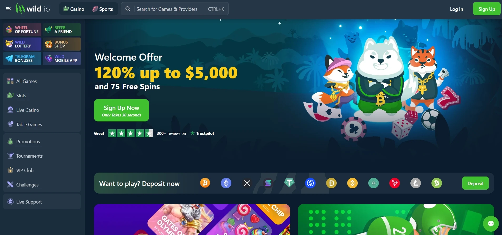 Wild.io casino